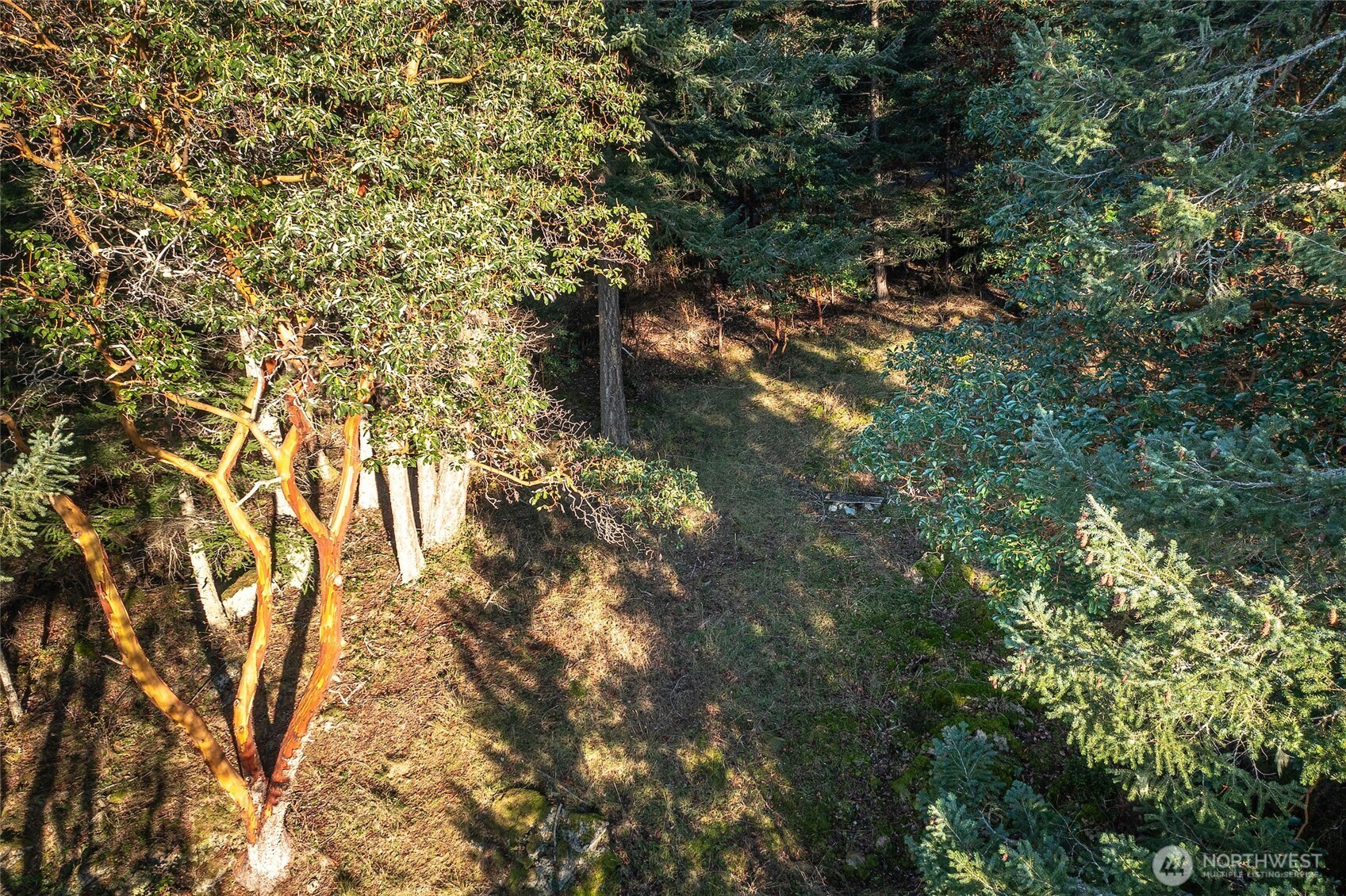 558 Buck Mt. Road Property Photo 13