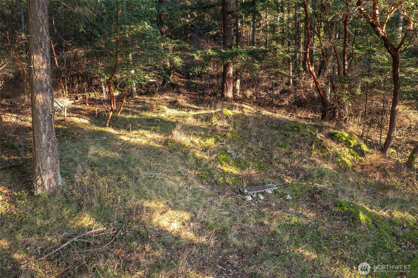 558 Buck Mt. Road Property Photo 14