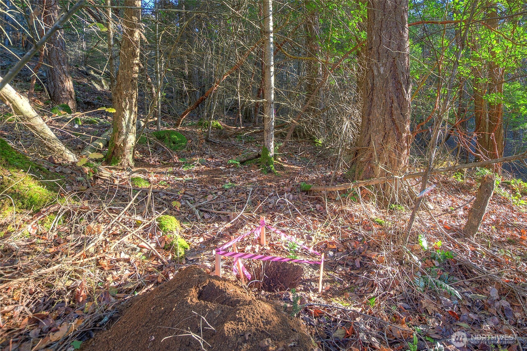 558 Buck Mt. Road Property Photo 15