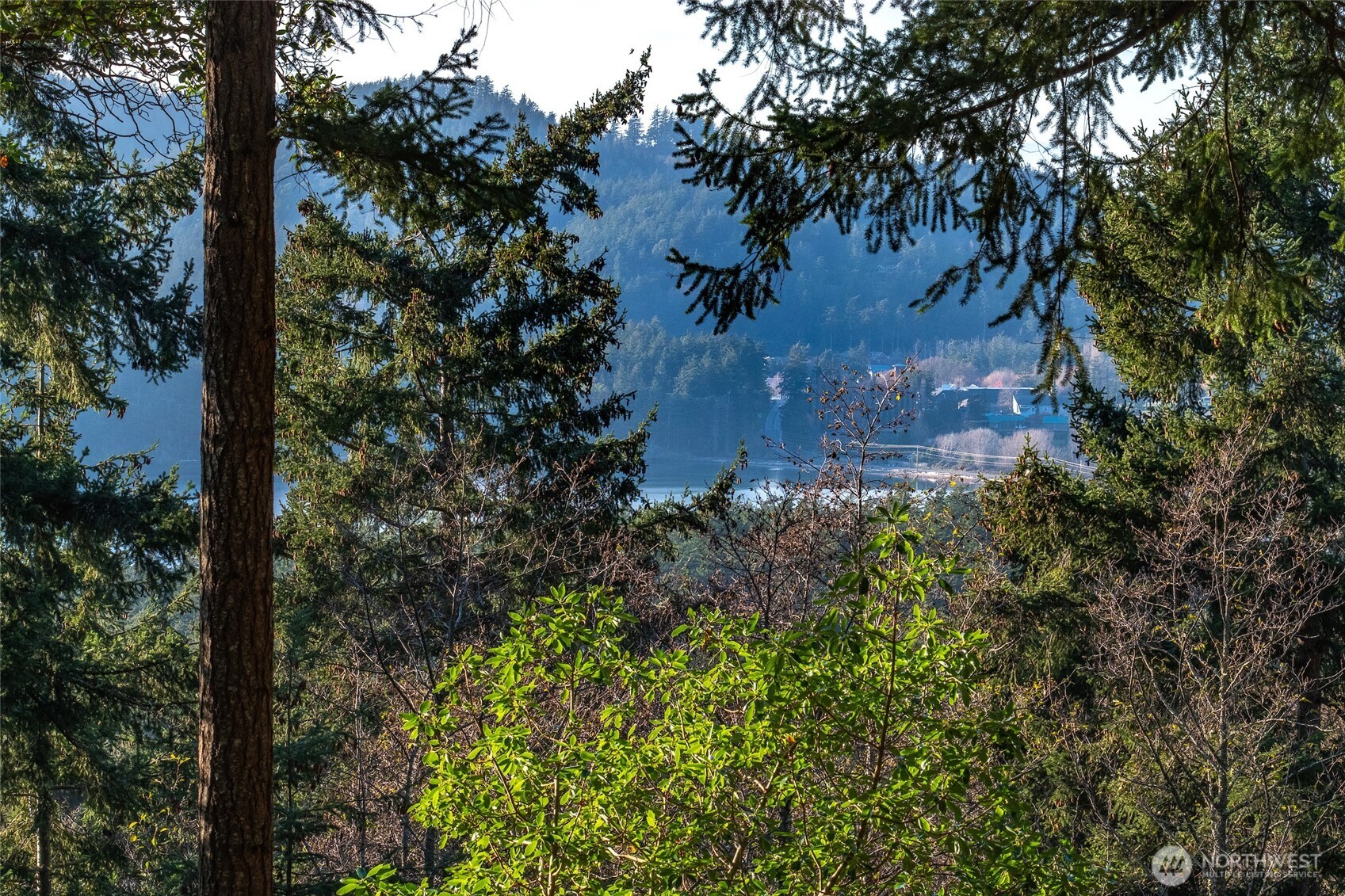 558 Buck Mt. Road Property Photo 16