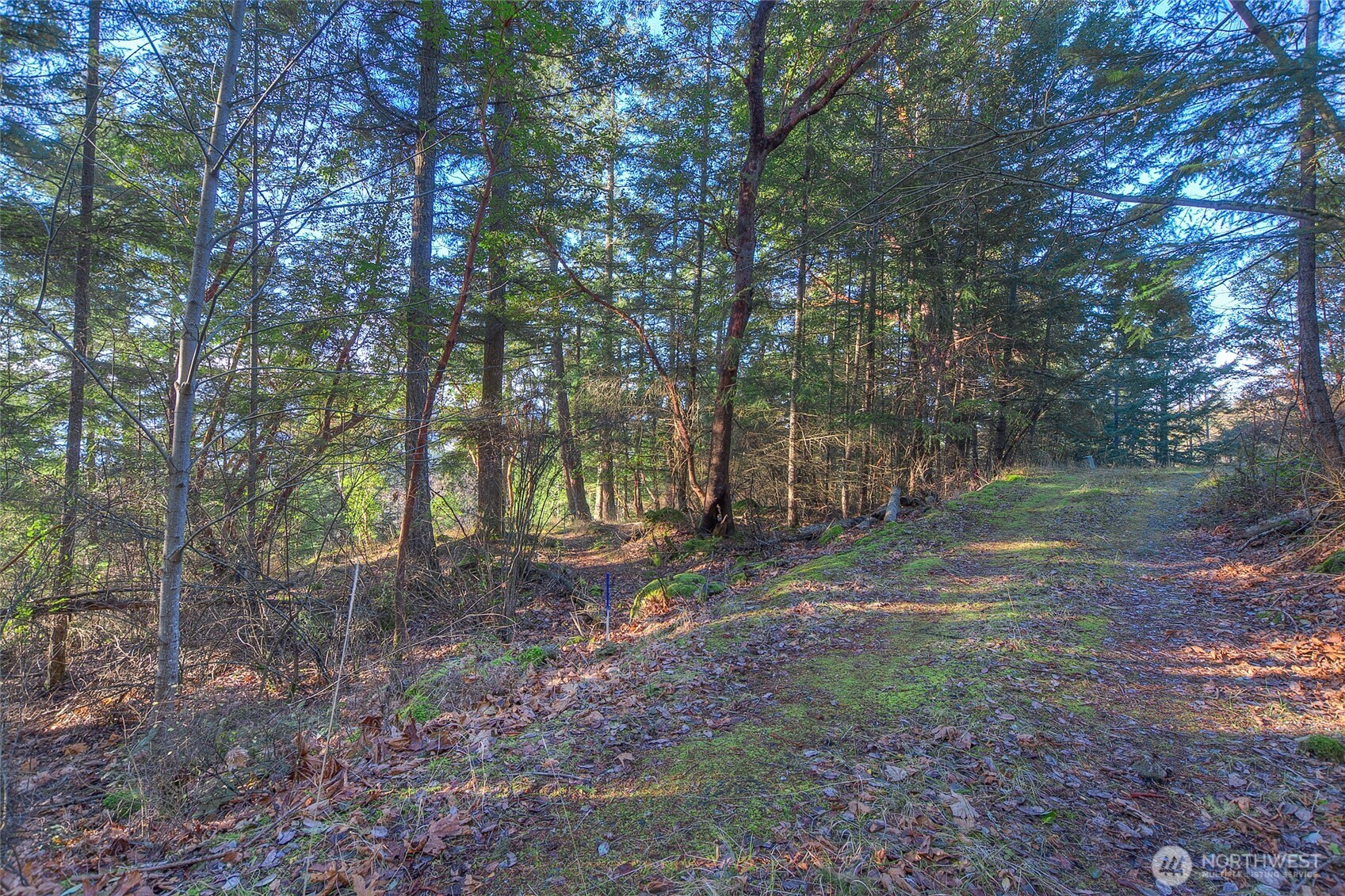 558 Buck Mt. Road Property Photo 18