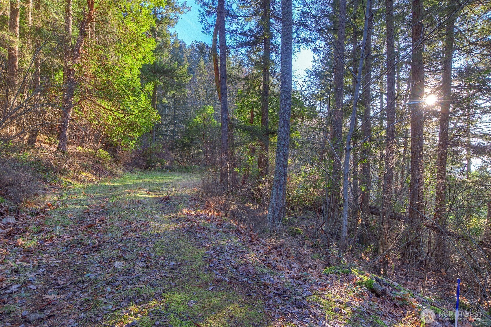 558 Buck Mt. Road Property Photo 19