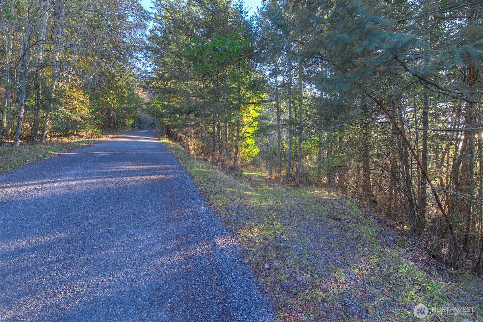 558 Buck Mt. Road Property Photo 20