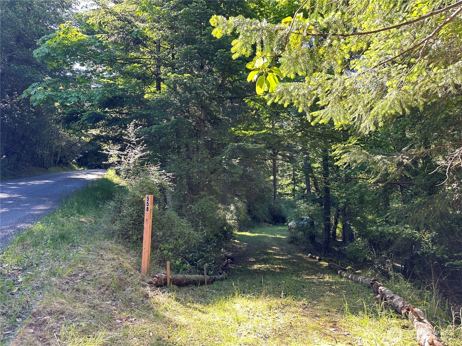 558 Buck Mt. Road Property Photo 21