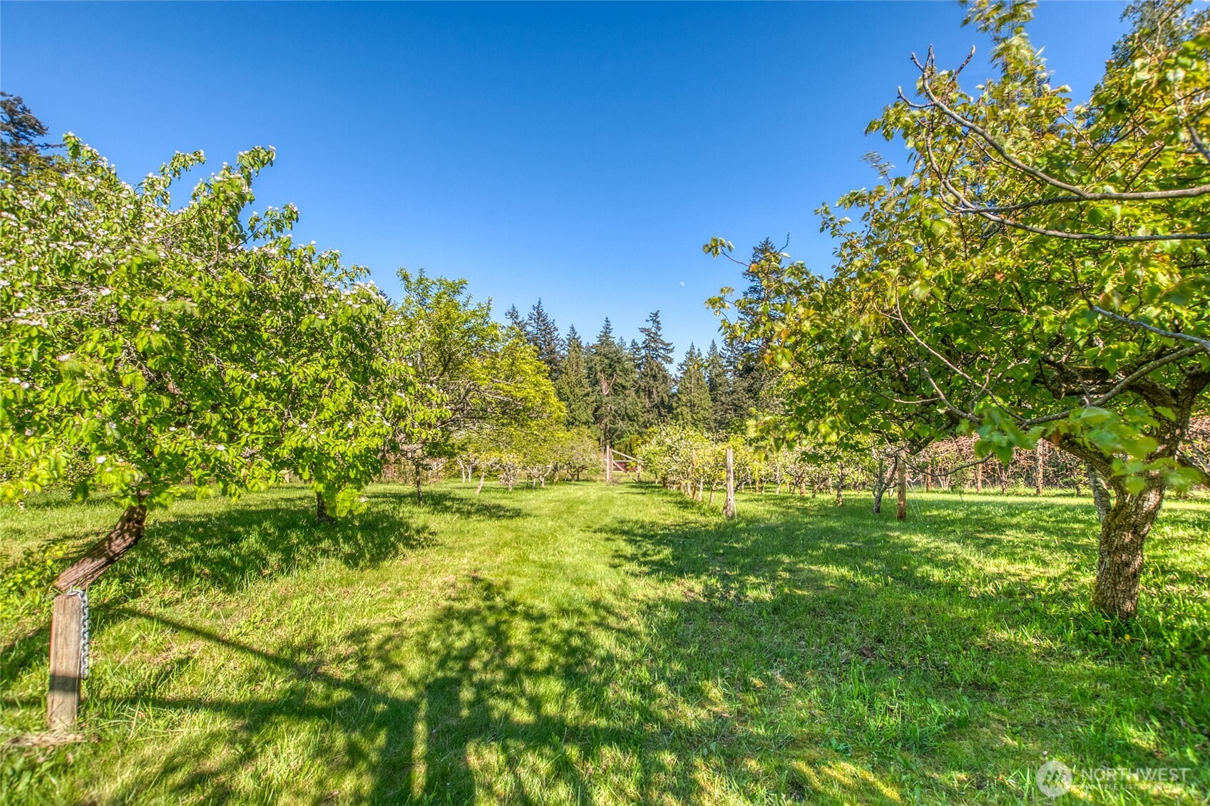 260 Grey Havens Loop Property Photo 34