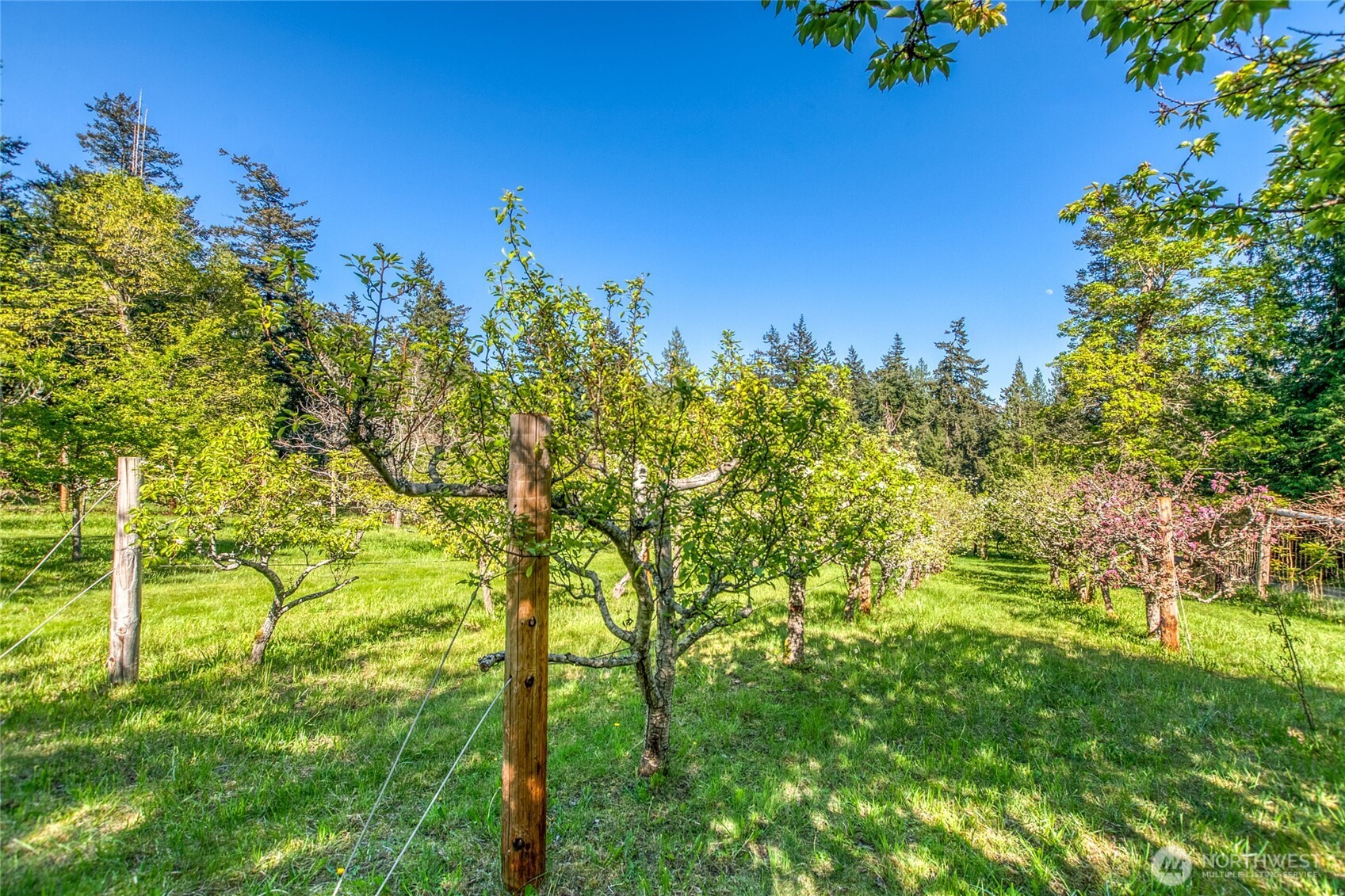 260 Grey Havens Loop Property Photo 35