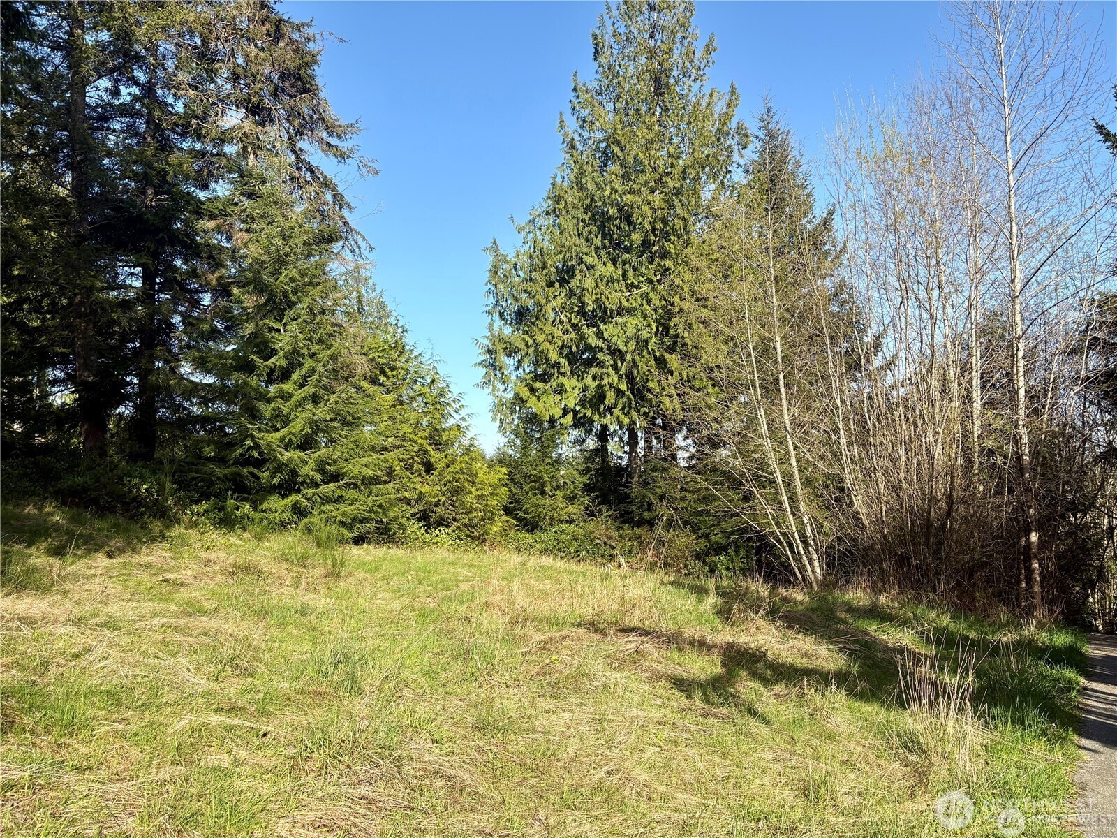 103 Wells Ridge Court Property Photo 4