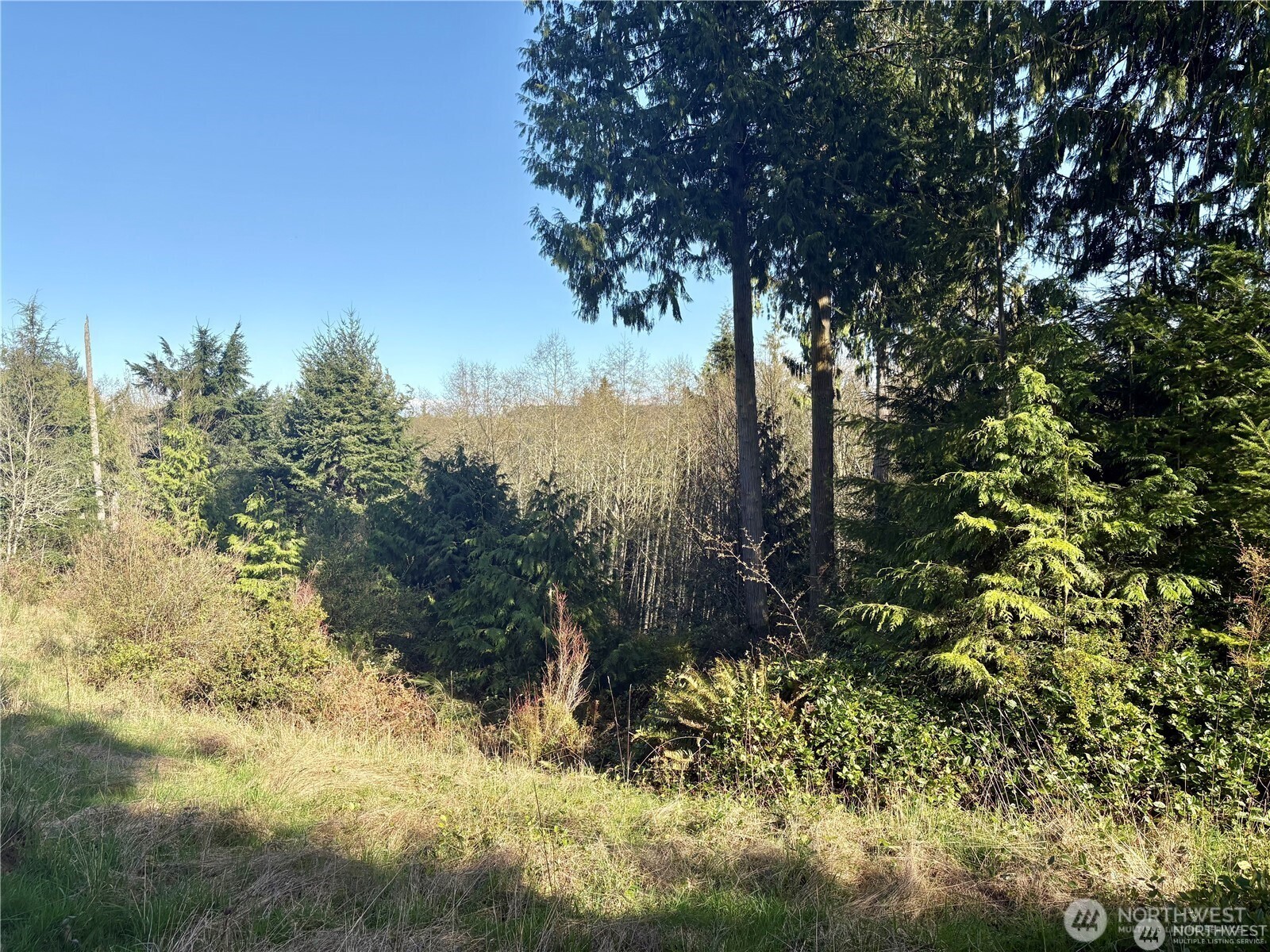 103 Wells Ridge Court Property Photo 6
