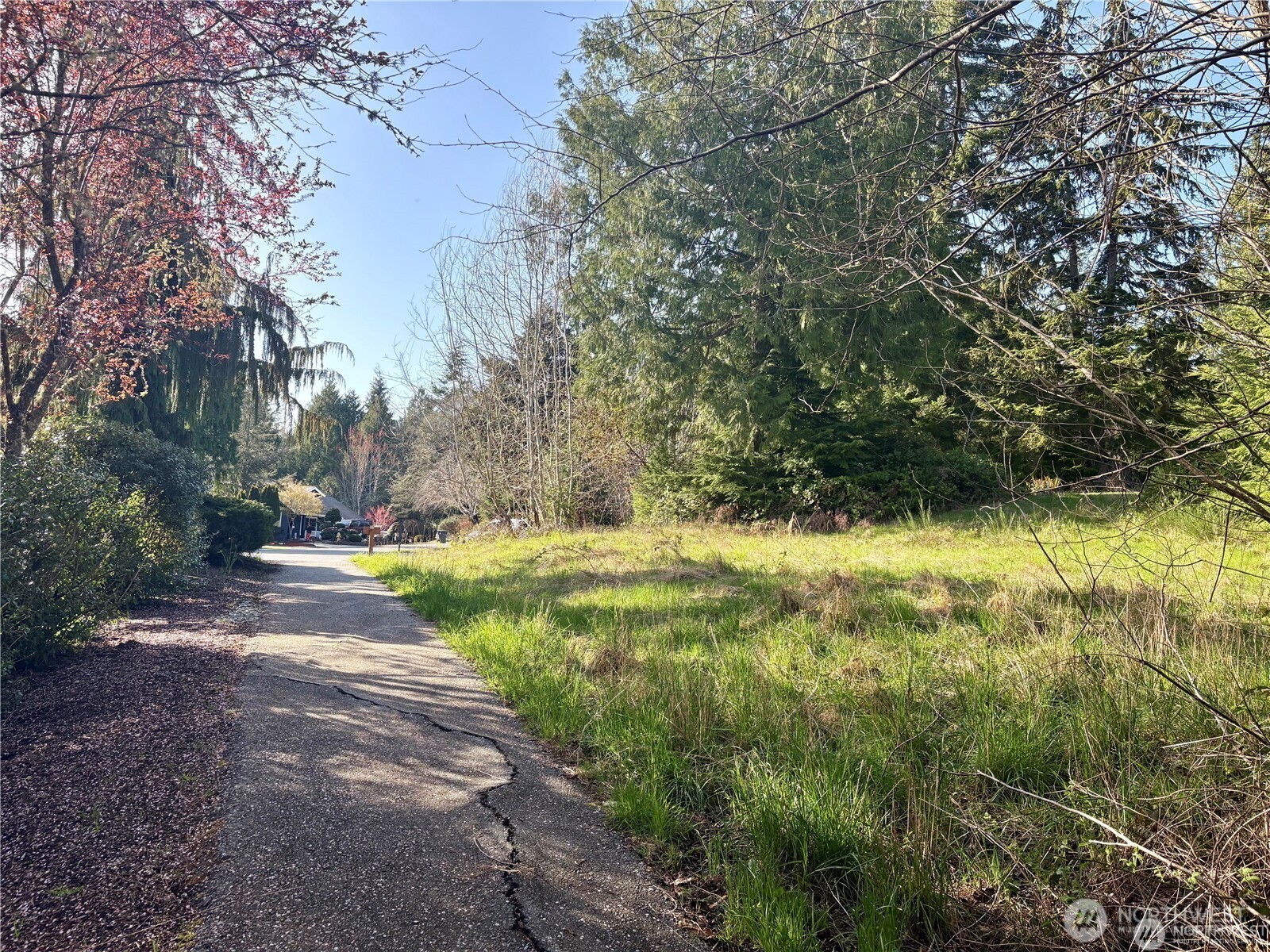 103 Wells Ridge Court Property Photo 8