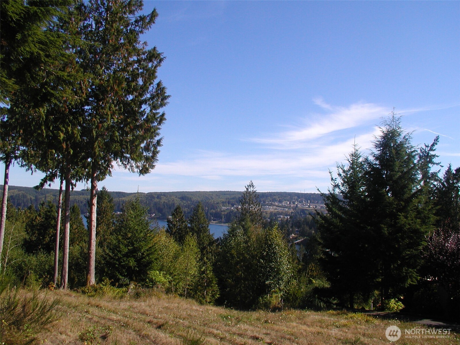 103 Wells Ridge Court Property Photo 10