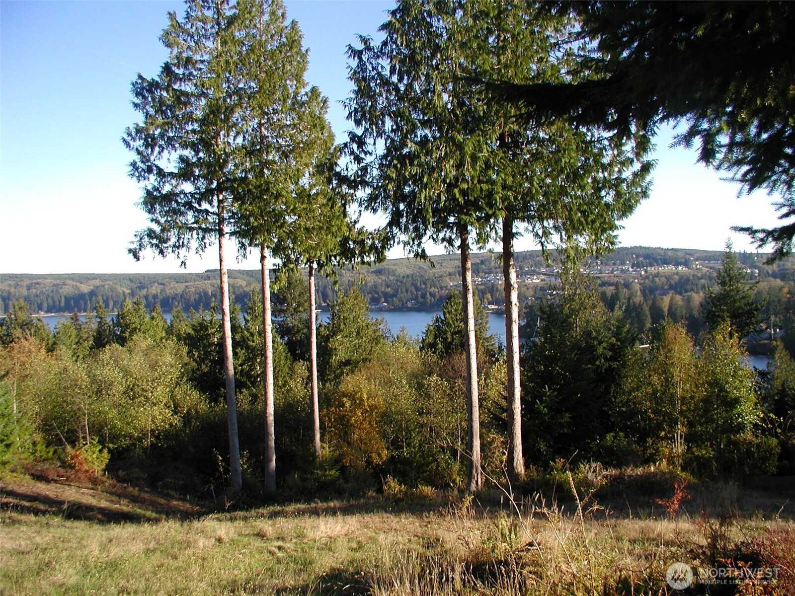 103 Wells Ridge Court Property Photo 12