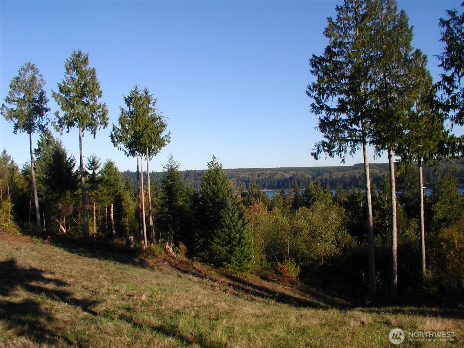 103 Wells Ridge Court Property Photo 14