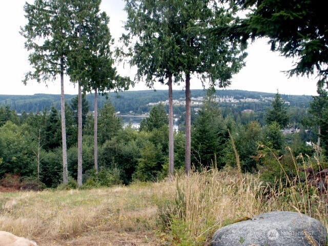 103 Wells Ridge Court Property Photo 15