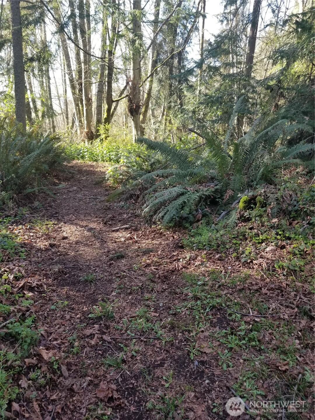 4193 S Camano Drive Property Photo 11