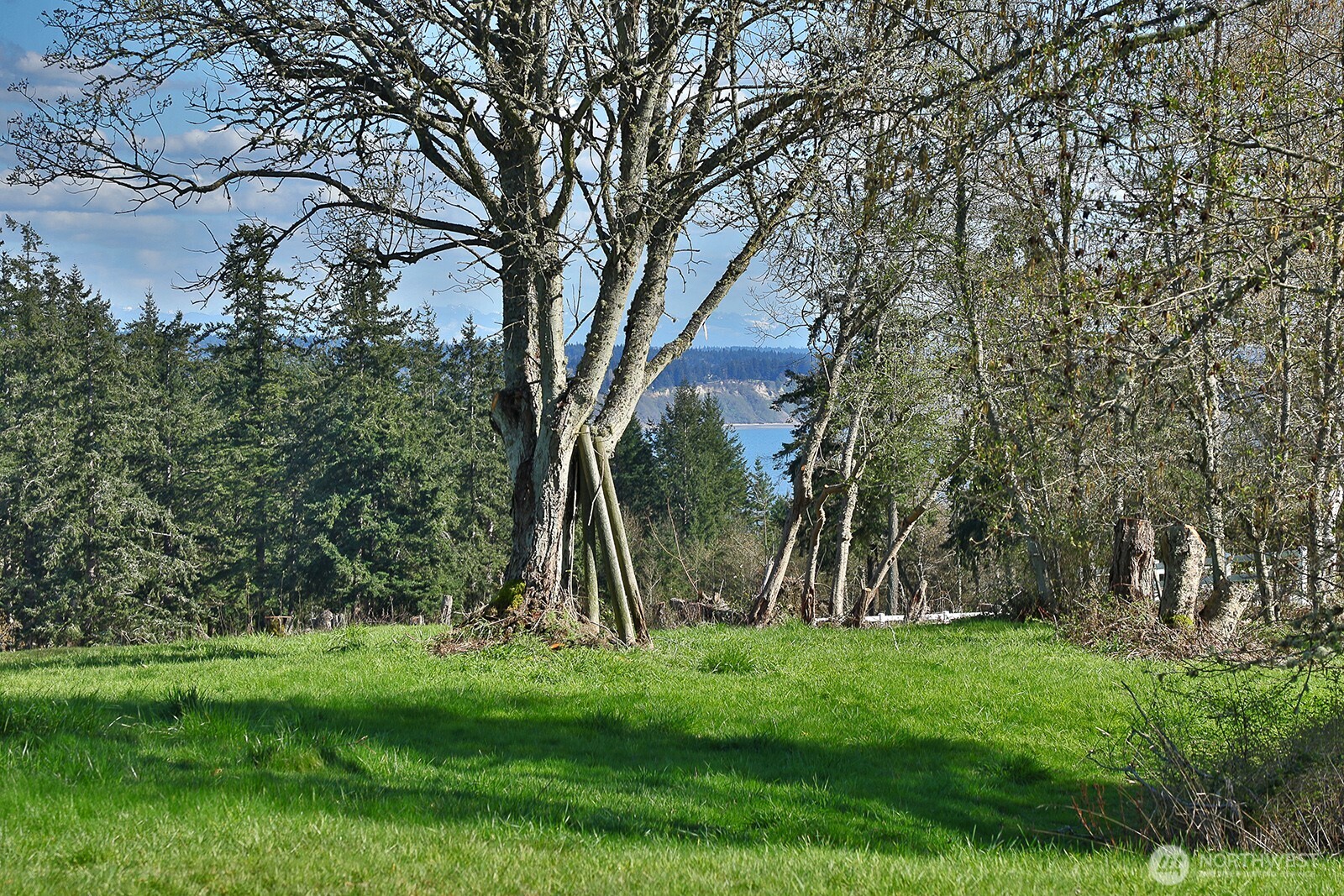0 Panorama Drive Property Photo 3
