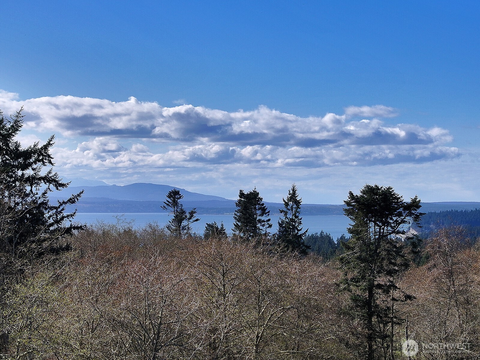 0 Panorama Drive Property Photo 6