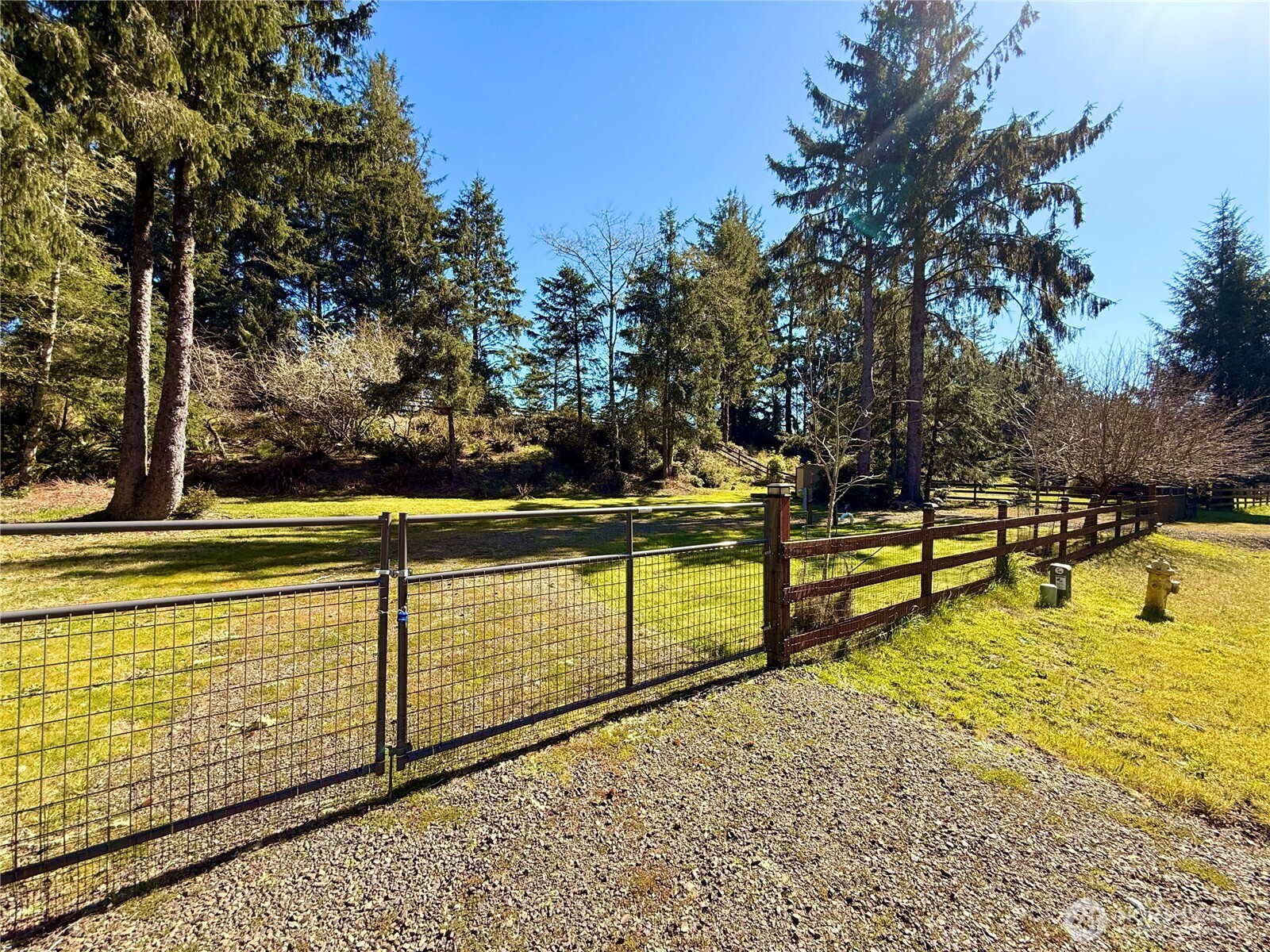 1004 Discovery Avenue Property Photo 1