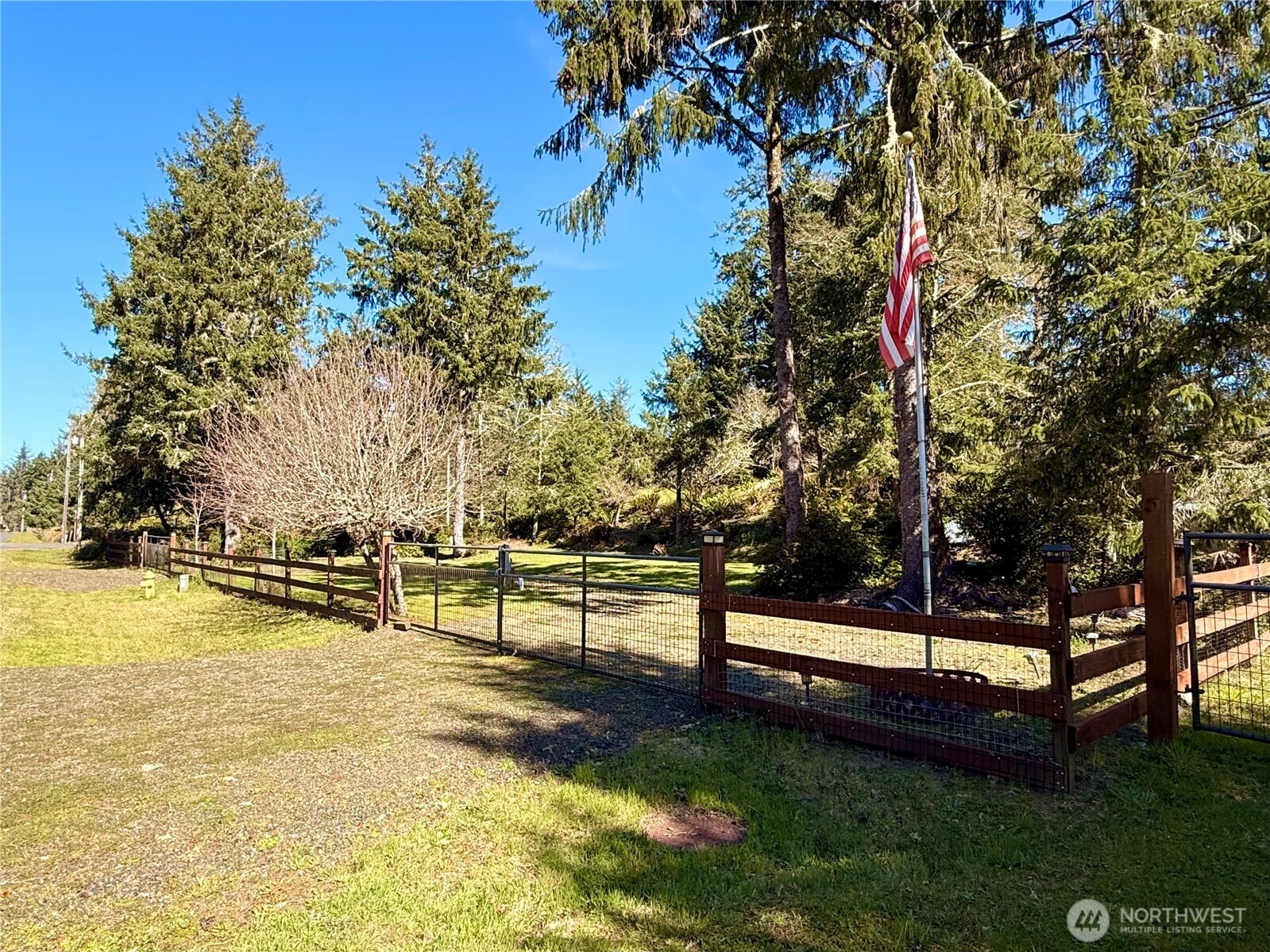 1004 Discovery Avenue Property Photo 4