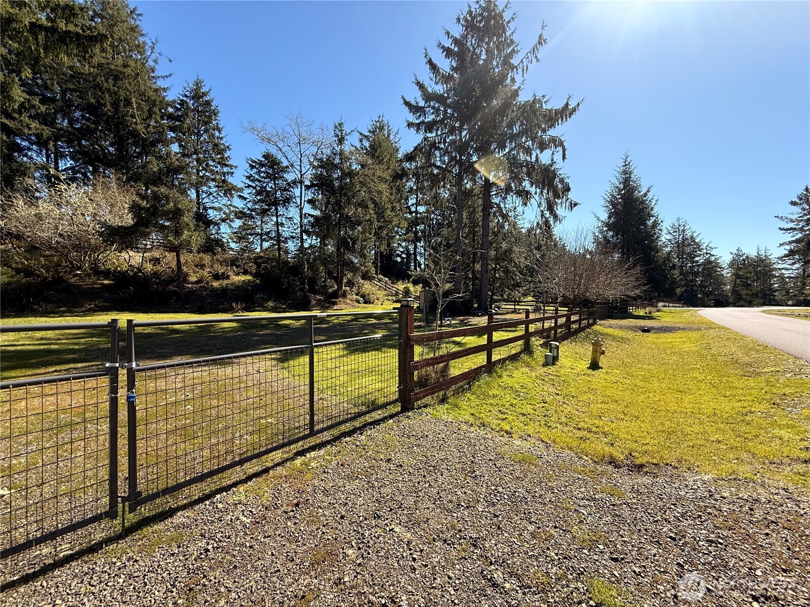 1004 Discovery Avenue Property Photo 8