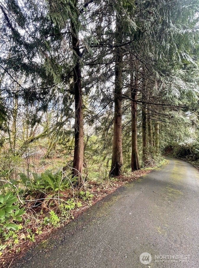 182 State Route 105 Property Photo 31