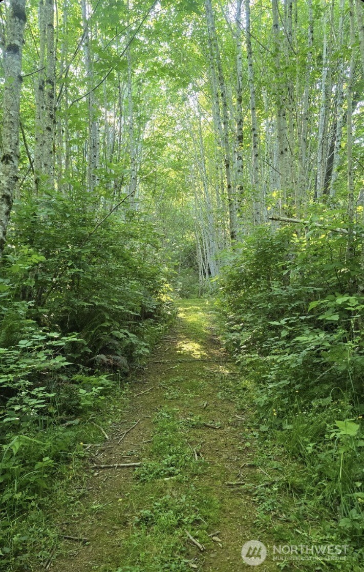 182 State Route 105 Property Photo 34