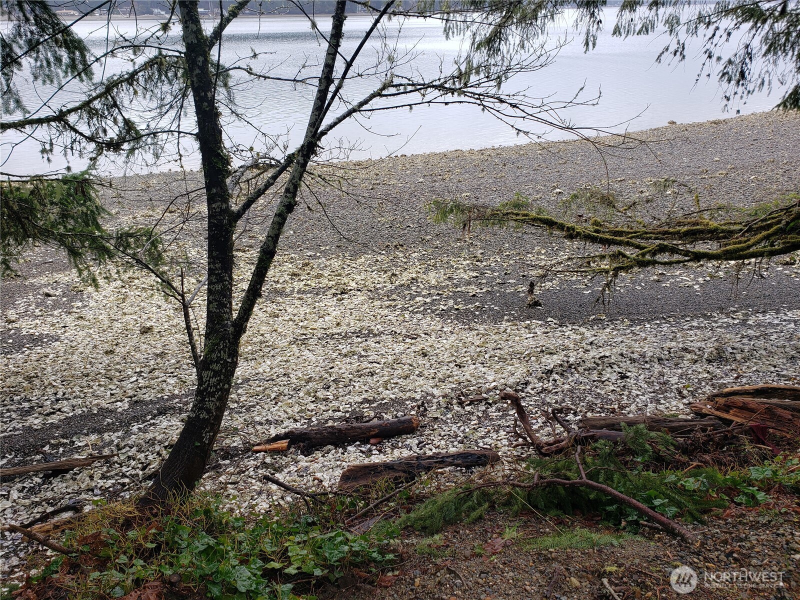 551 E Timber Tides Drive Property Photo 1