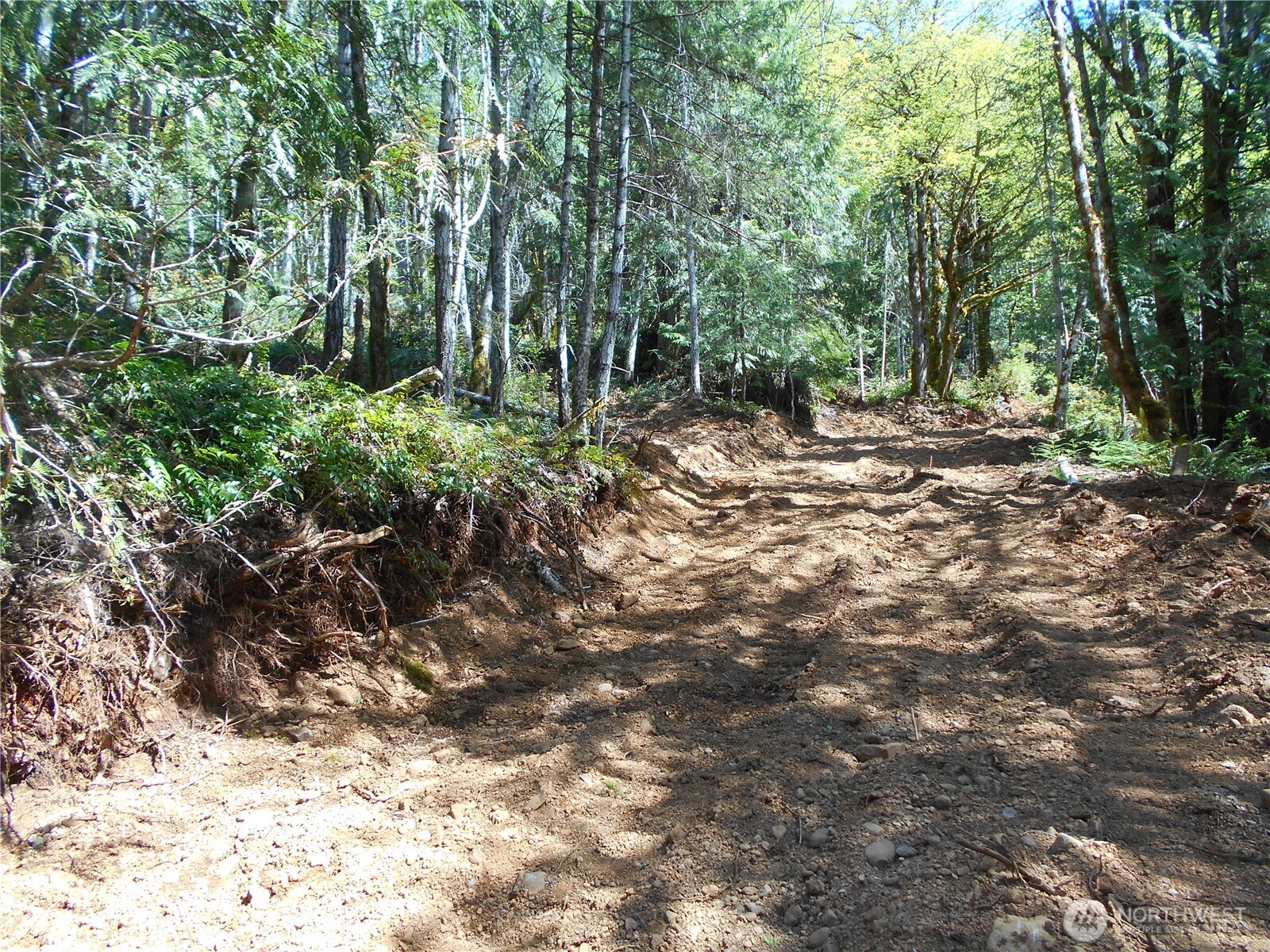0 Dragonfly Place Property Photo 2