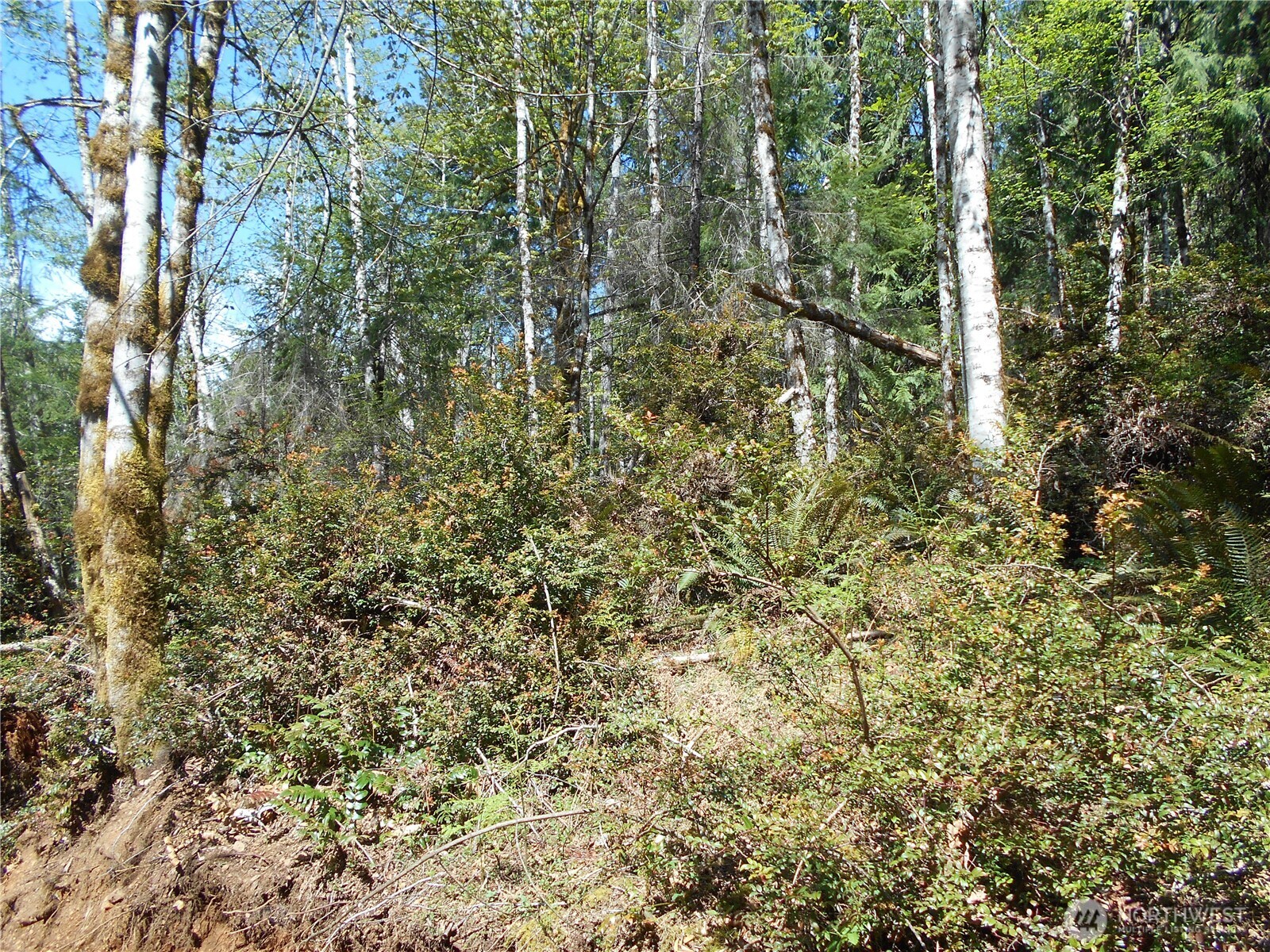 0 Dragonfly Place Property Photo 4