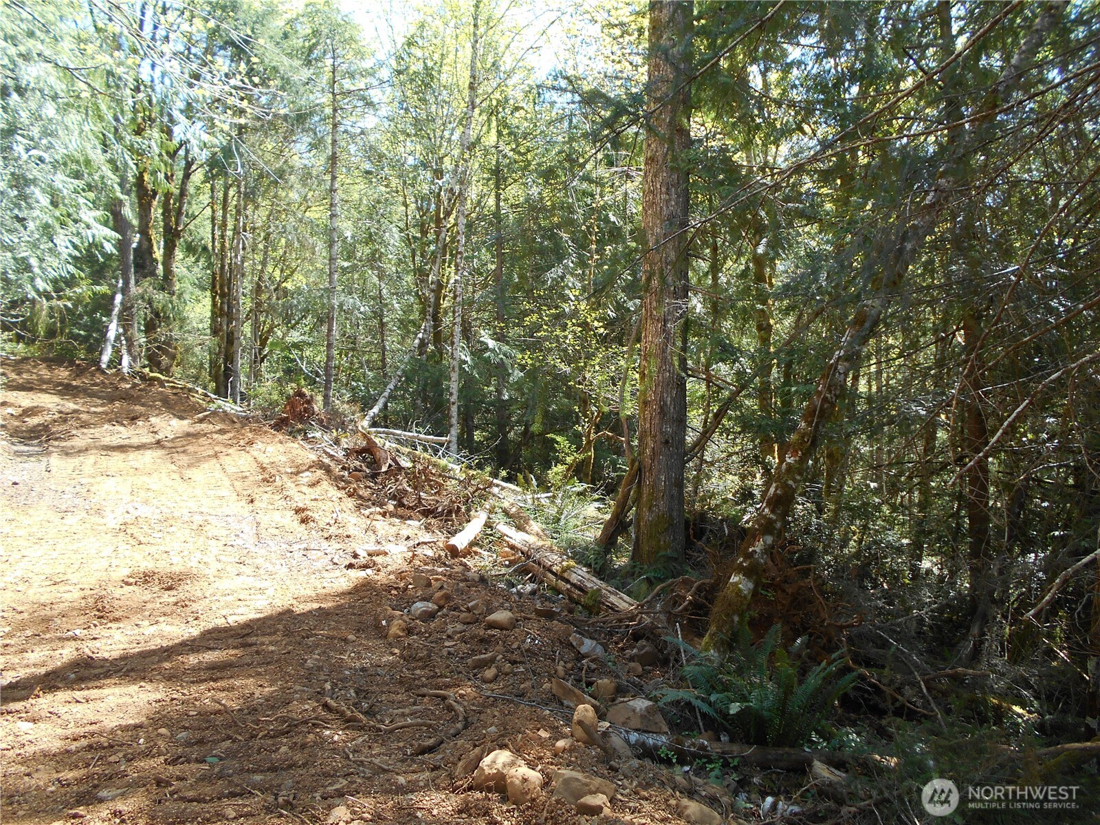 0 Dragonfly Place Property Photo 8
