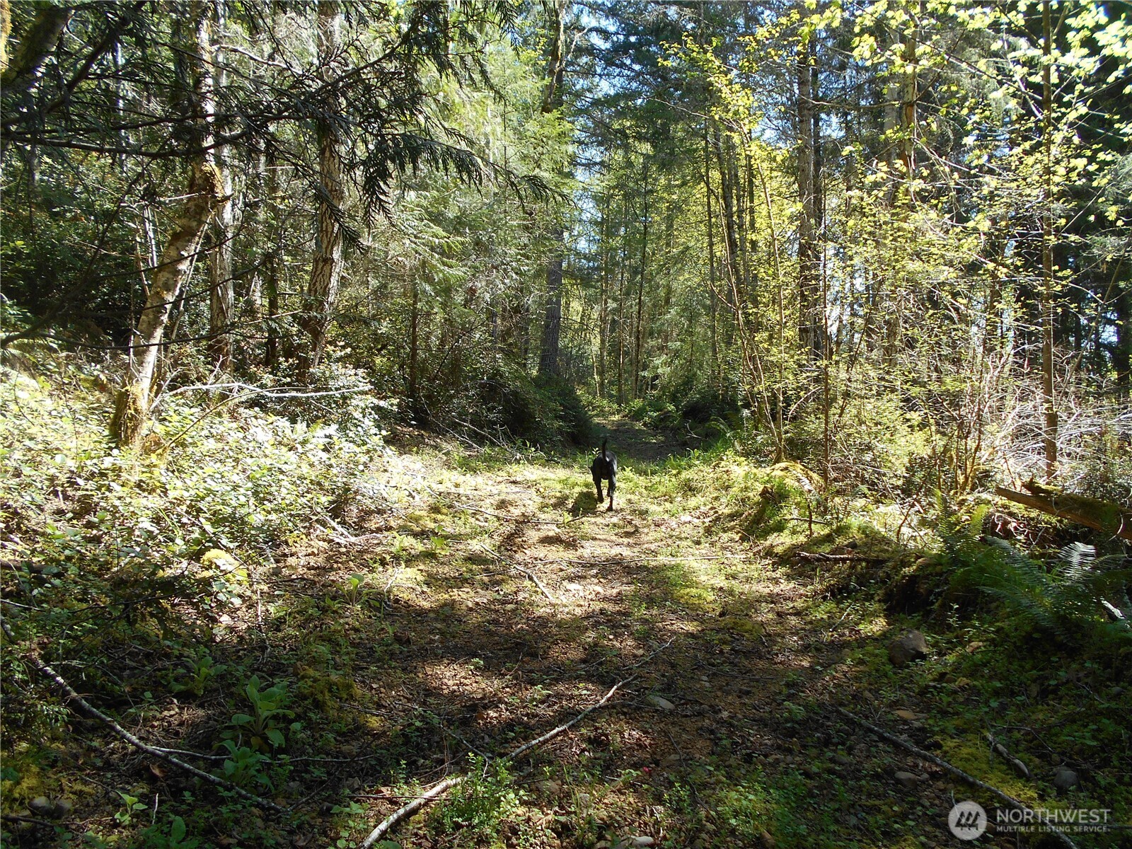 0 Dragonfly Place Property Photo 9