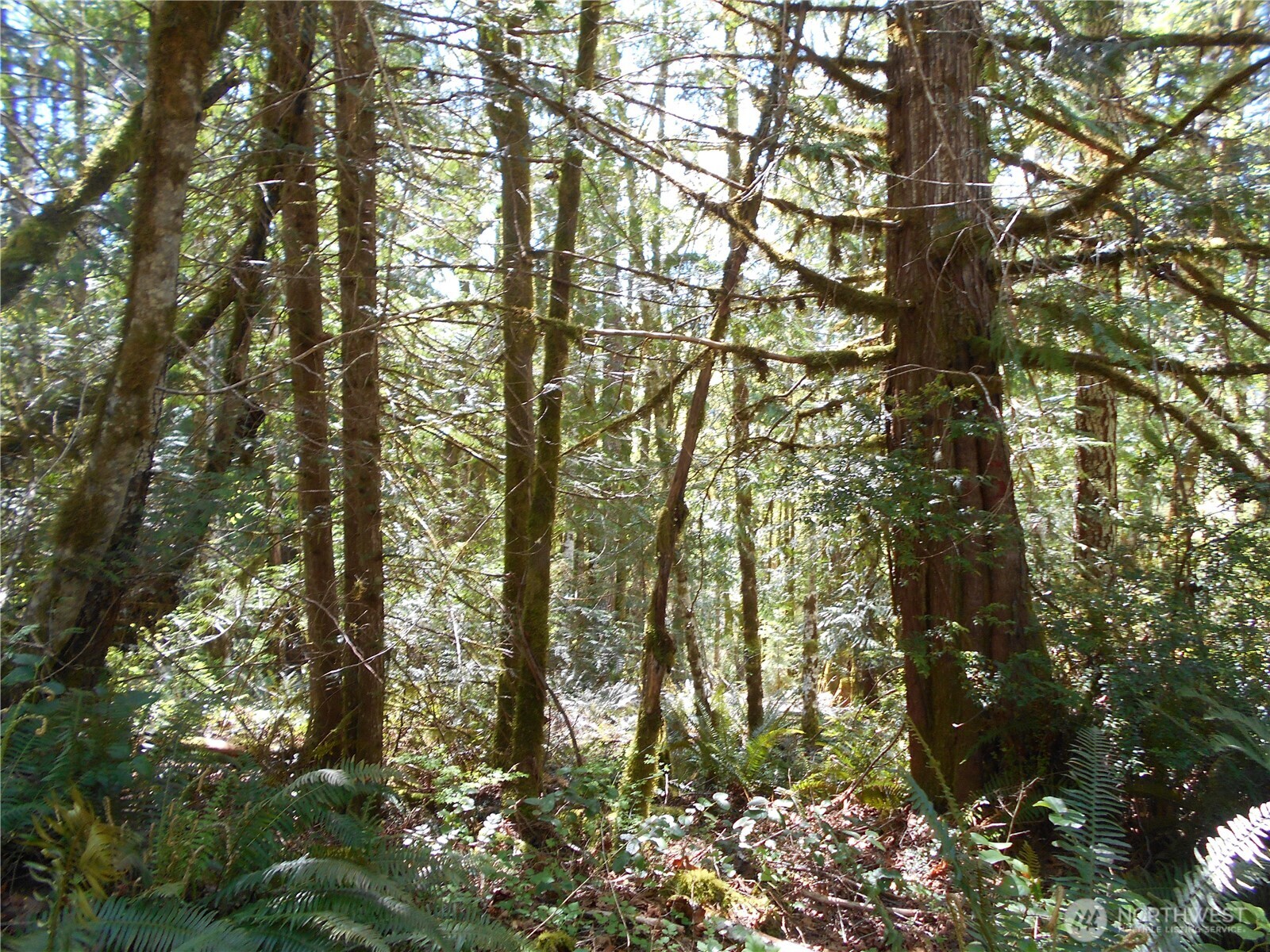 0 Dragonfly Place Property Photo 10