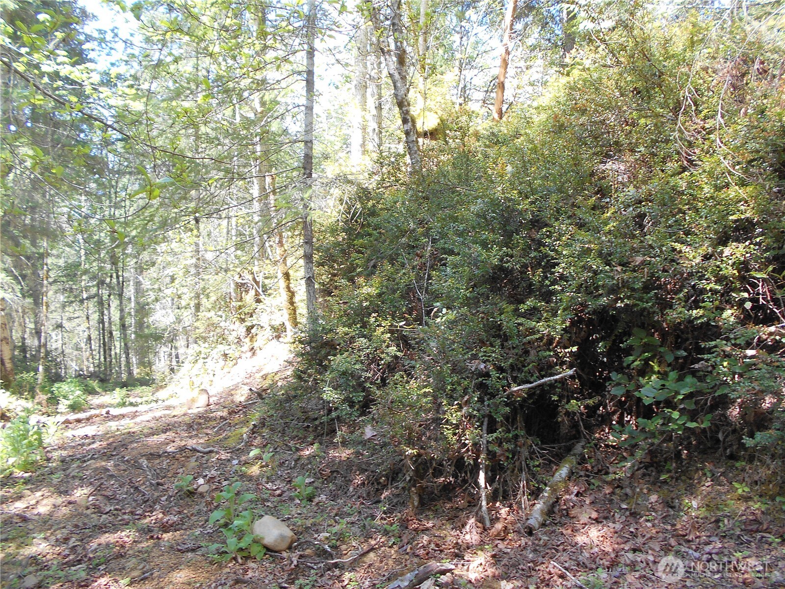 0 Dragonfly Place Property Photo 11