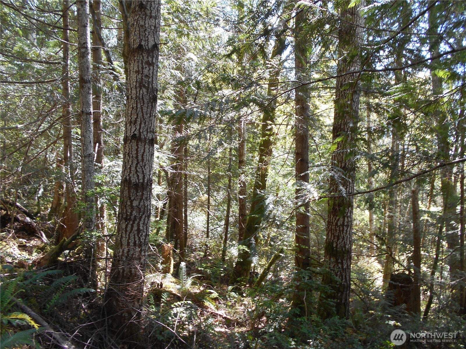 0 Dragonfly Place Property Photo 12