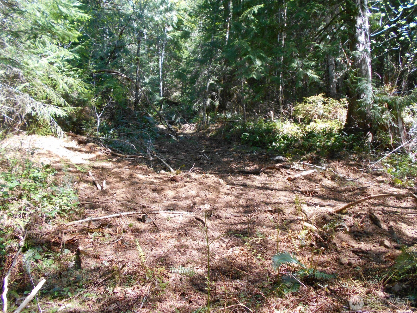 0 Dragonfly Place Property Photo 13
