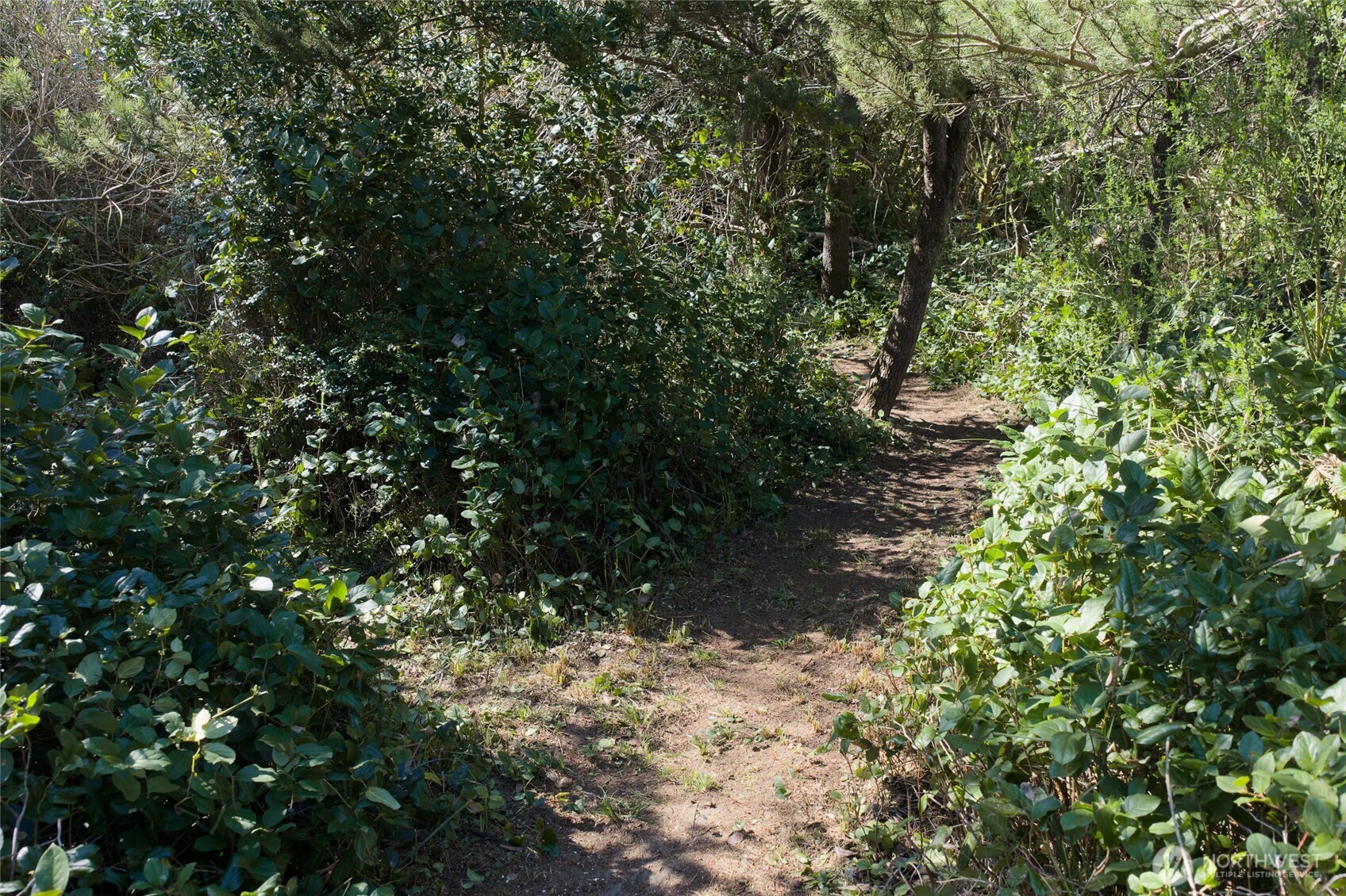 319 Sand Dune Avenue Property Photo 7