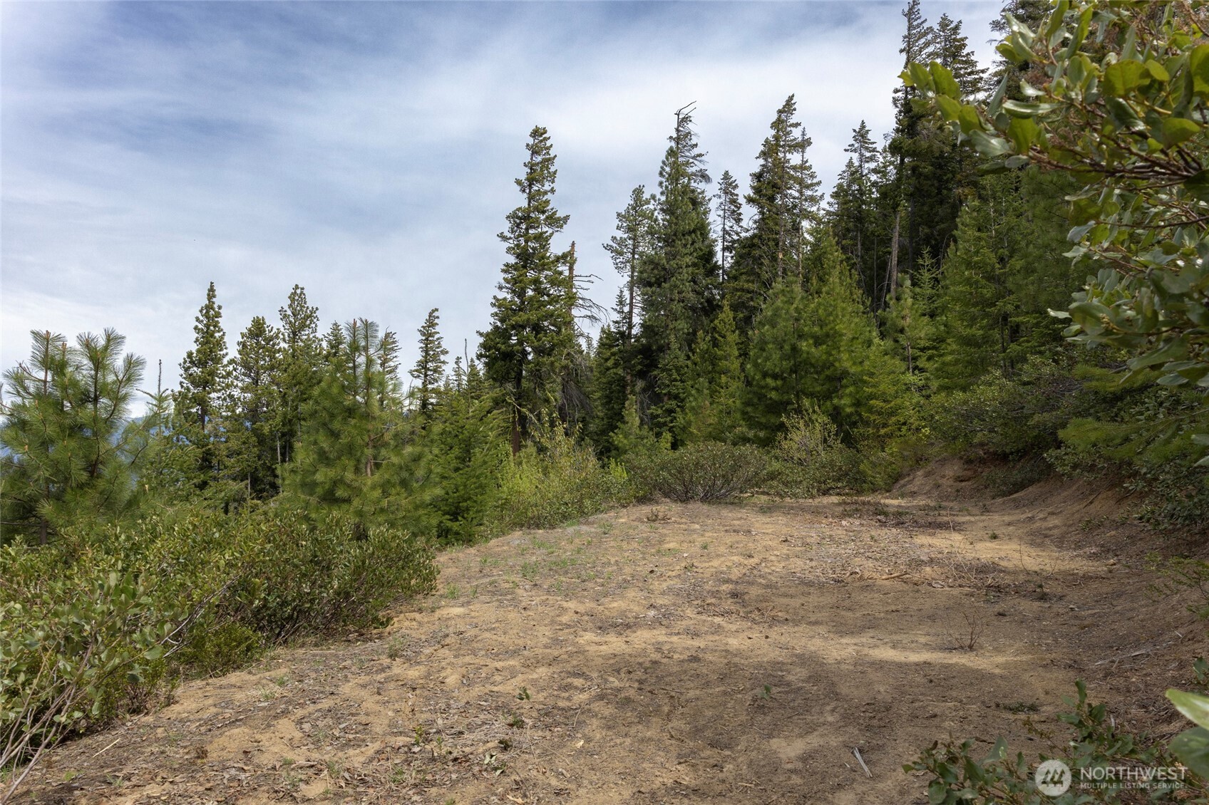 0 Forest Service 6601-550 Rd Property Photo 2