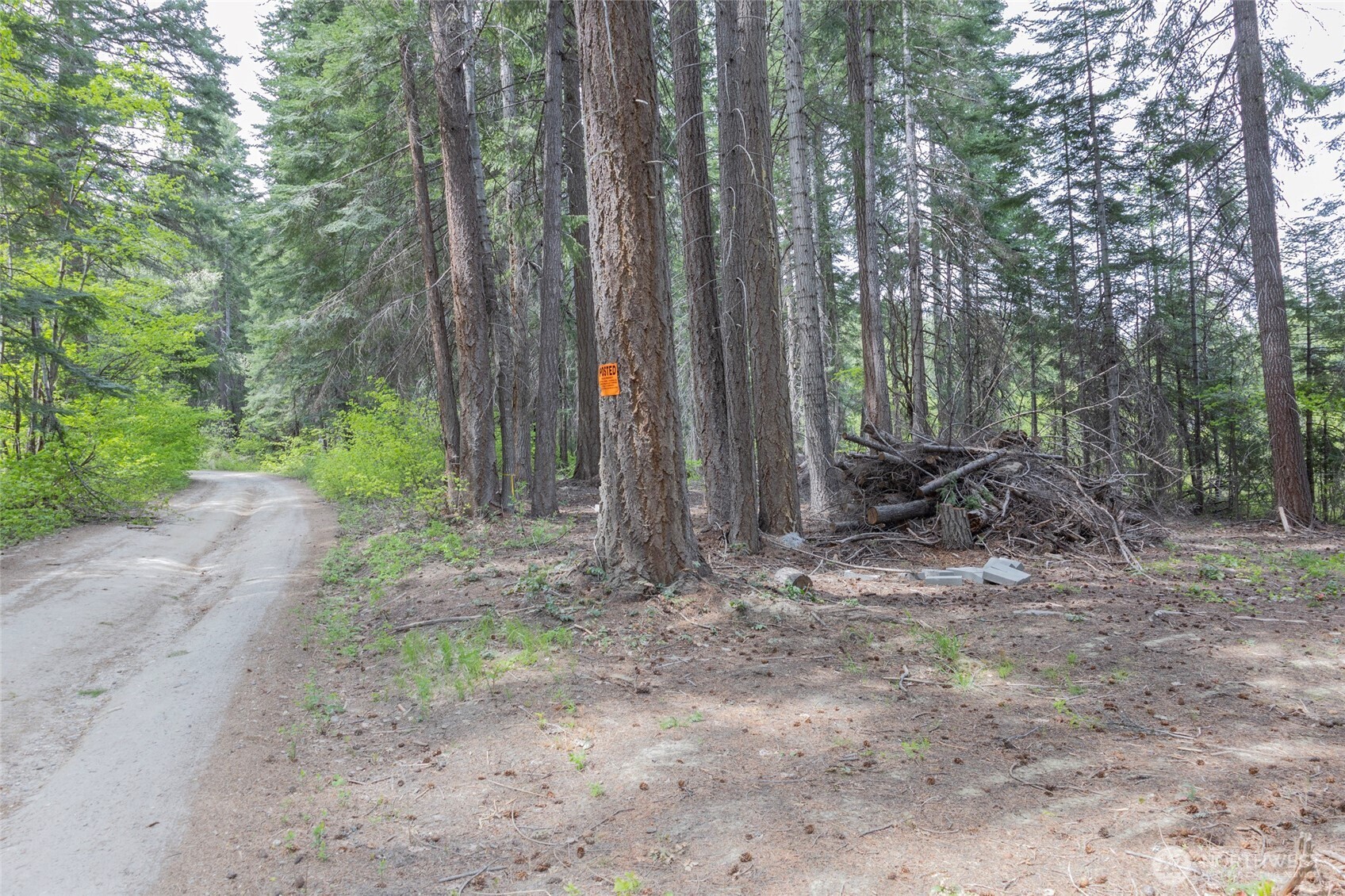 0 Forest Service 6601-550 Rd Property Photo 6