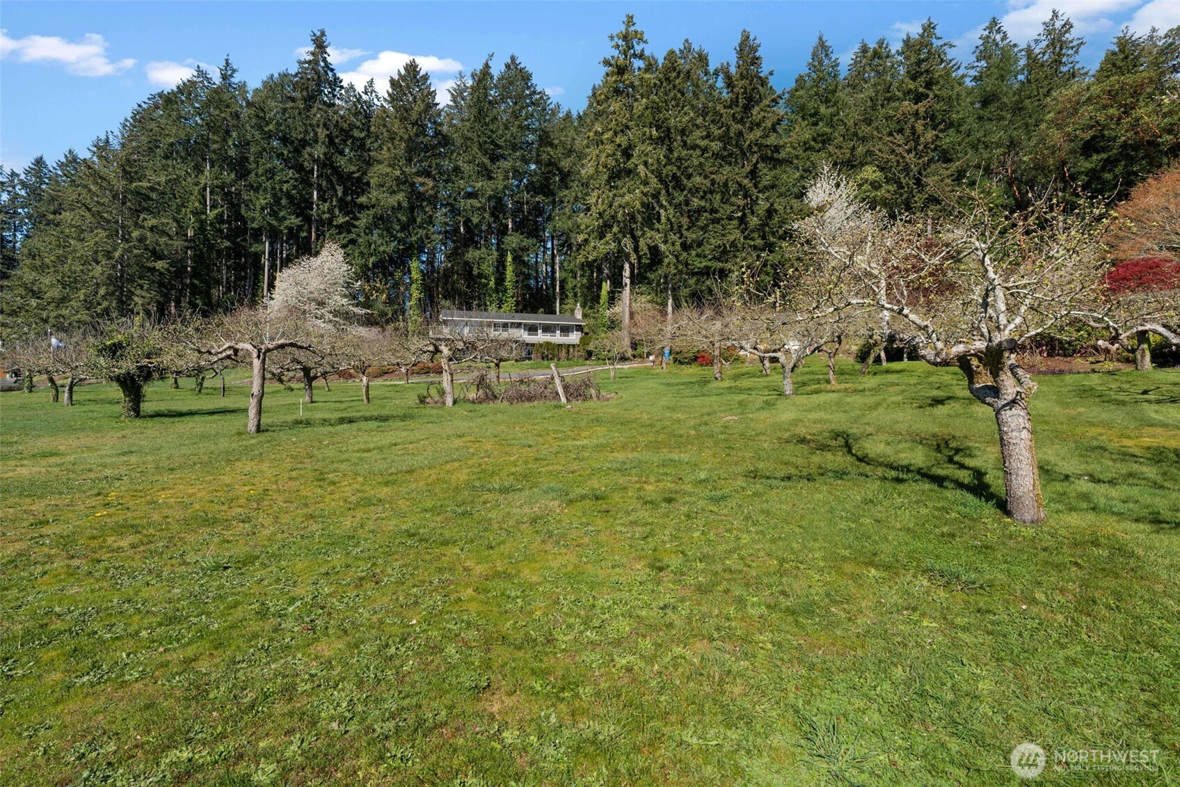 10427 Powell Drive Property Photo 14