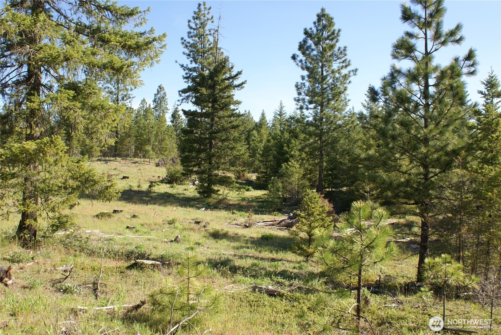 5 Sky Road Property Photo 3