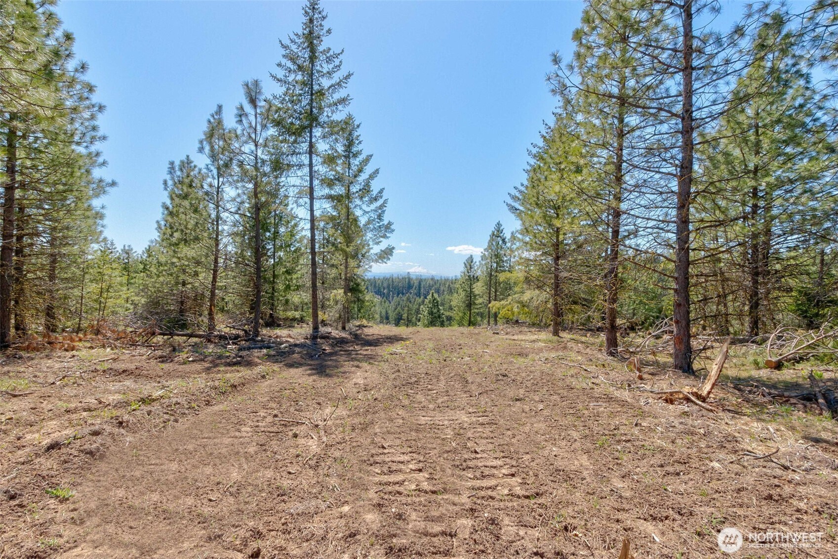 5 Sky Road Property Photo 12