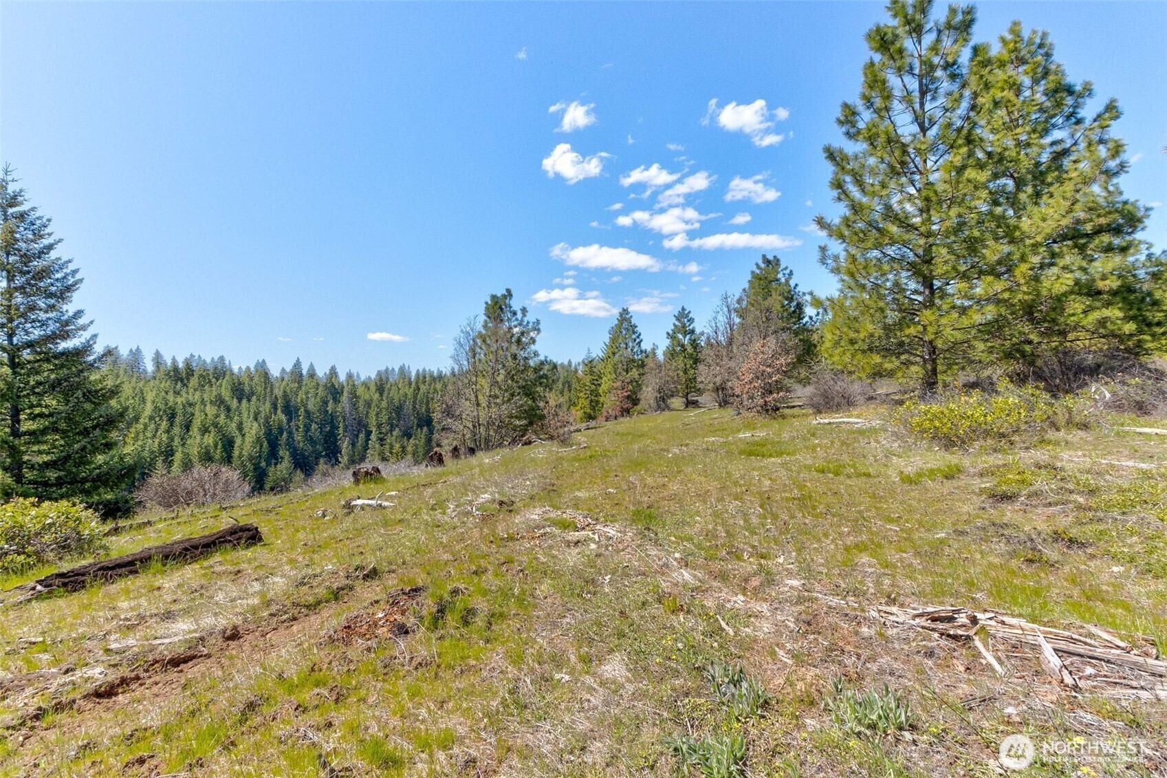 5 Sky Road Property Photo 14