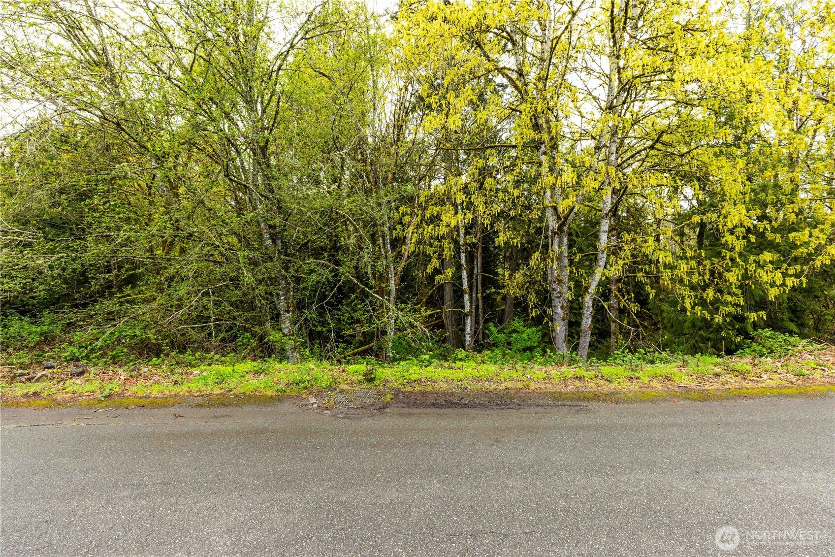 8893 Martin Avenue Property Photo 2