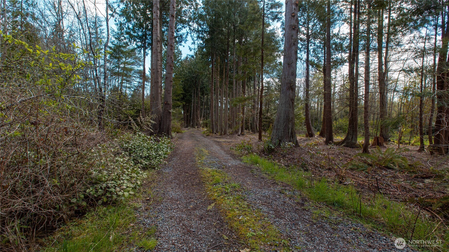 11968 Airport Cutoff Road Property Photo 8