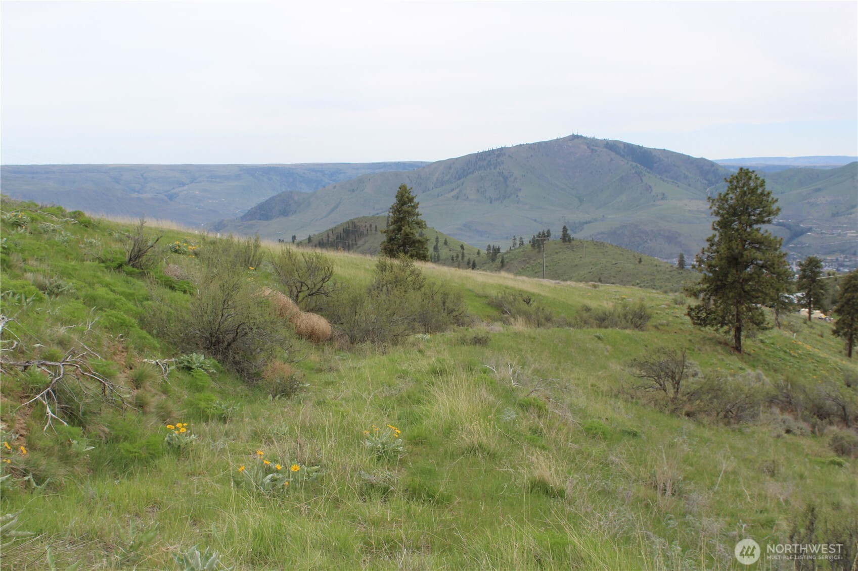 0 Xx Downhill Lane Property Photo 6