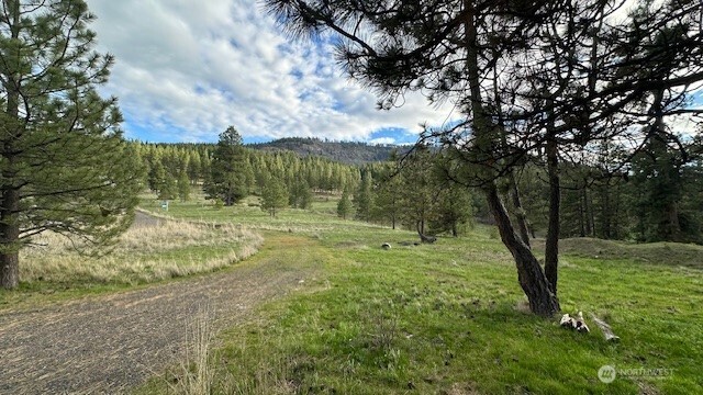 960 Forest Grove Property Photo 24