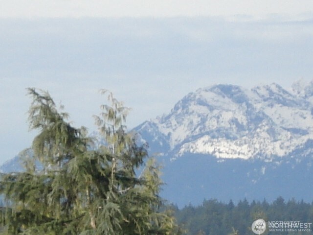 9703 Fredrickson Road Property Photo 4