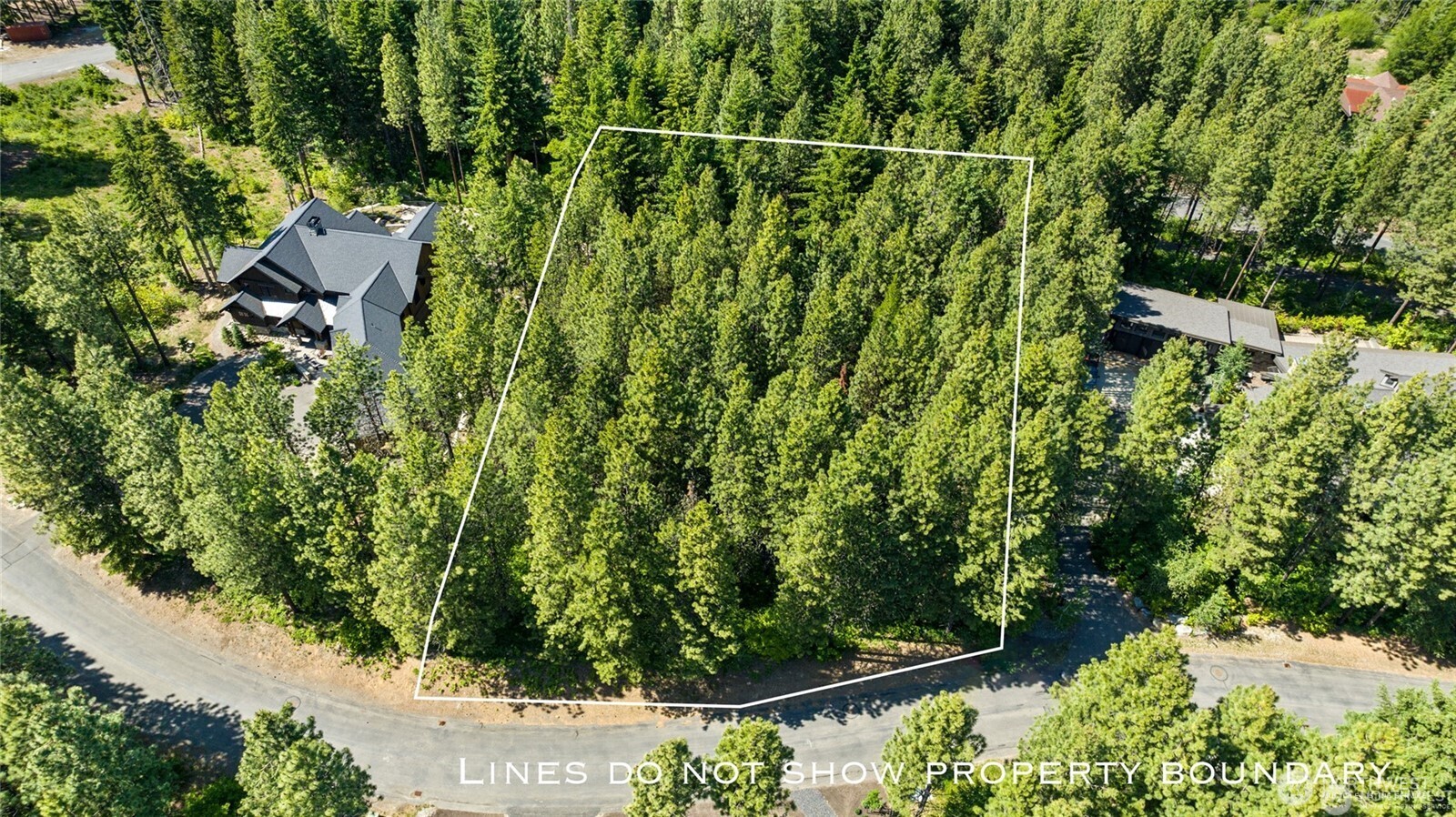 831 Iron Monarch Loop Property Photo 1