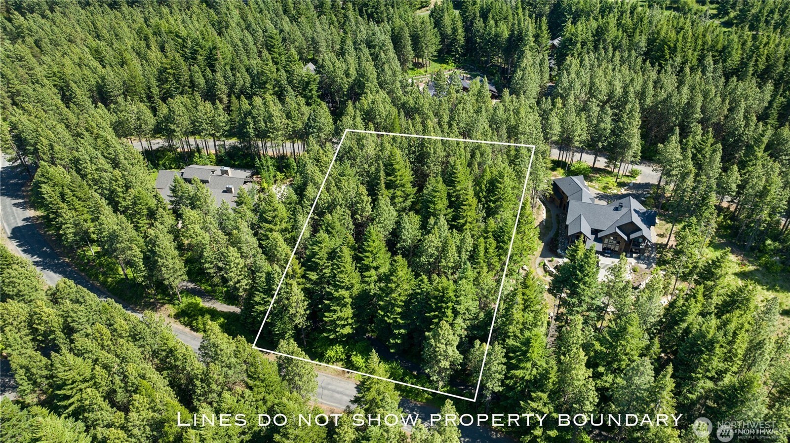 831 Iron Monarch Loop Property Photo 2