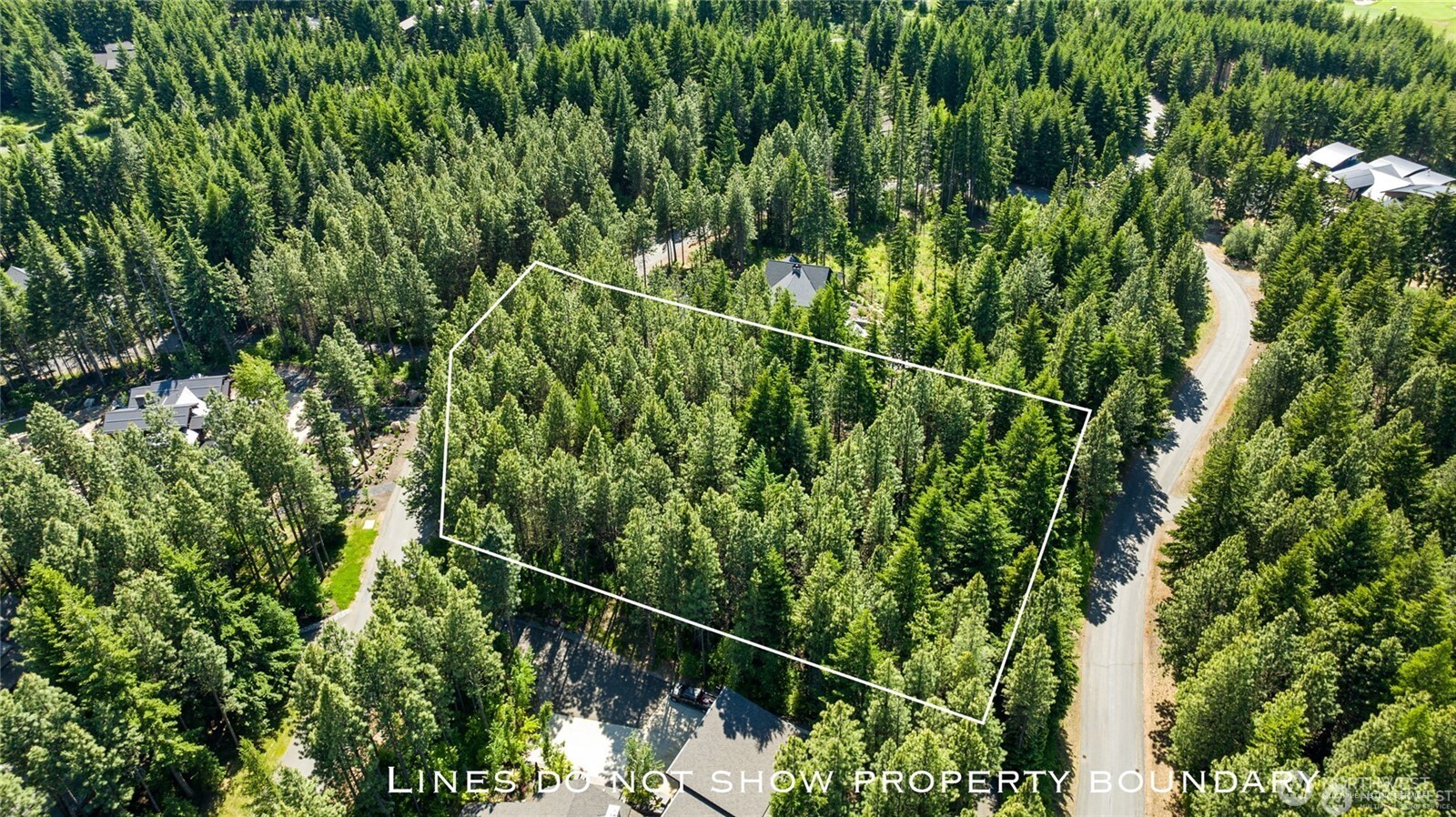 831 Iron Monarch Loop Property Photo 3