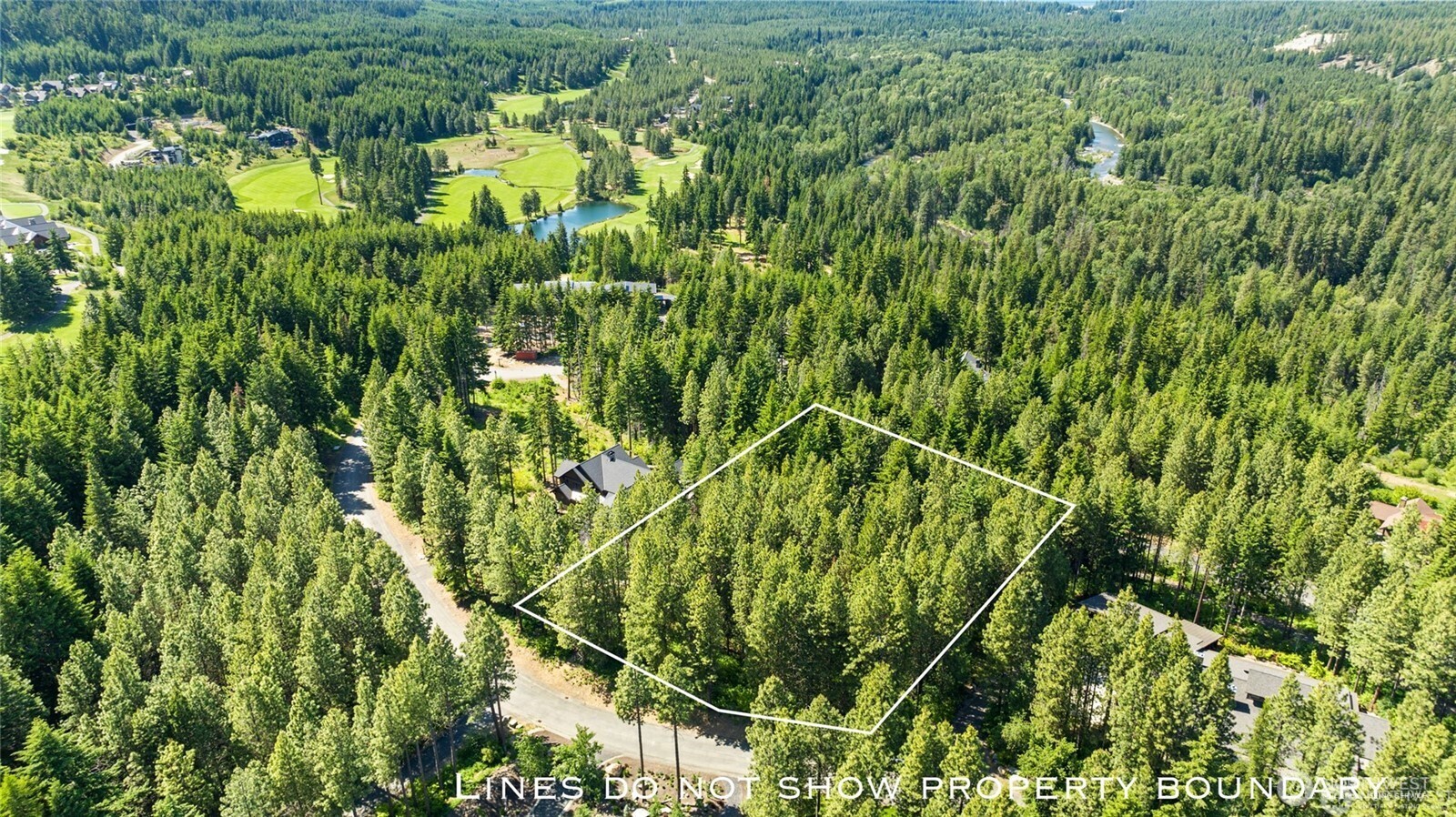 831 Iron Monarch Loop Property Photo 4